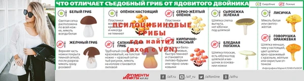mdpv Елизово