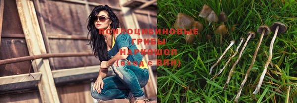 круглые Ельня