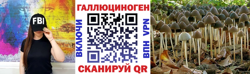 Галлюциногенные грибы GOLDEN TEACHER  Купить закладки  Кондопога 