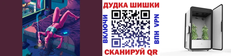 Купить  Кондопога  Бошки марихуана ГИДРОПОН 